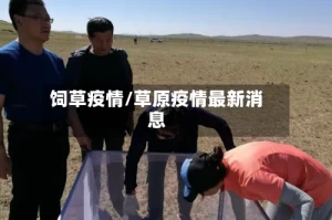 饲草疫情/草原疫情最新消息
