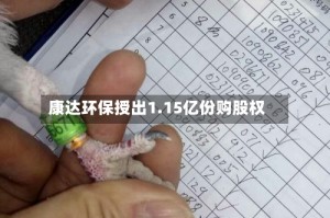 康达环保授出1.15亿份购股权