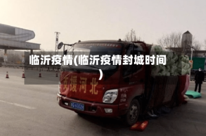 临沂疫情(临沂疫情封城时间)