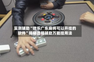 实测辅助“微乐广东麻将可以开挂的软件”揭秘透视辅助万能挂用法