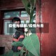 疫情与初春/疫情与青春