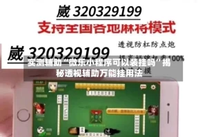 实测辅助“微乐小程序可以装挂吗”揭秘透视辅助万能挂用法