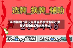 实测辅助“微乐吉林麻将专业神器”揭秘透视辅助万能挂用法