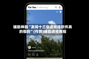 辅助神器“友间十三张透视挂软件真的假的”(作弊)辅助透视教程