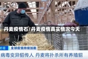 丹麦疫情石/丹麦疫情真实情况今天
