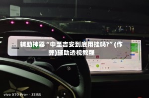 辅助神器“中至吉安到底用挂吗?”(作弊)辅助透视教程