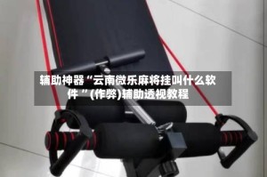 辅助神器“云南微乐麻将挂叫什么软件 ”(作弊)辅助透视教程