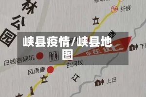 峡县疫情/峡县地图