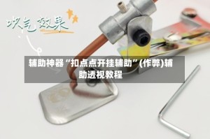 辅助神器“扣点点开挂辅助”(作弊)辅助透视教程