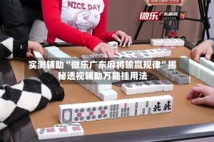实测辅助“微乐广东麻将输赢规律”揭秘透视辅助万能挂用法