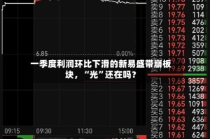 一季度利润环比下滑的新易盛带崩板块，“光”还在吗？
