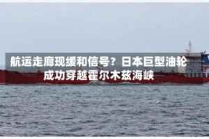 航运走廊现缓和信号？日本巨型油轮成功穿越霍尔木兹海峡
