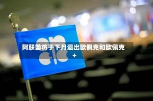 阿联酋将于下月退出欧佩克和欧佩克+
