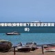 疫情影响(疫情影响下邮轮旅游发展现状)