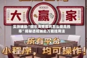实测辅助“微乐海南麻将怎么提高胜率”揭秘透视辅助万能挂用法