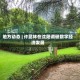 地方动态 | 许昆林在沈阳调研数字经济发展