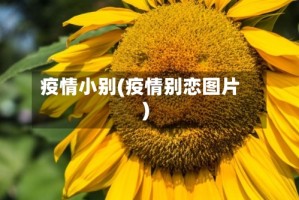 疫情小别(疫情别恋图片)