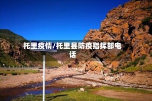 托里疫情/托里县防疫指挥部电话