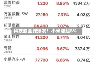 科技股全线爆发！小米涨超8%
