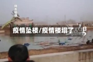 疫情坠楼/疫情楼塌了