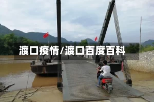 渡口疫情/渡口百度百科