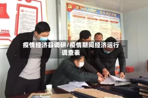 疫情经济县调研/疫情期间经济运行调查表