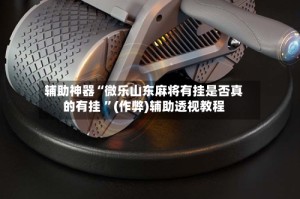 辅助神器“微乐山东麻将有挂是否真的有挂 ”(作弊)辅助透视教程