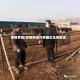 疫情养殖(疫情期间对养殖企业的要求)