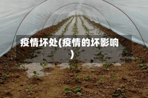 疫情坏处(疫情的坏影响)
