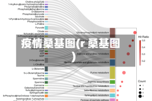 疫情桑基图(r 桑基图)