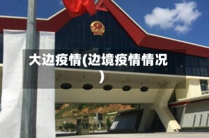 大边疫情(边境疫情情况)
