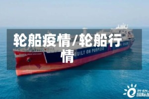 轮船疫情/轮船行情
