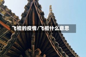 飞檐的疫情/飞檐什么意思