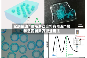 实测辅助“微乐浙江麻将有挂没”揭秘透视辅助万能挂用法