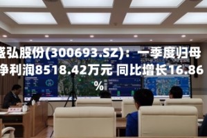 盛弘股份(300693.SZ)：一季度归母净利润8518.42万元 同比增长16.86%