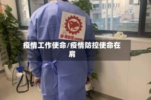 疫情工作使命/疫情防控使命在肩
