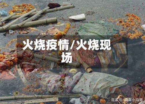 火烧疫情/火烧现场-第1张图片