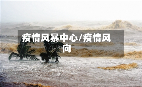 疫情风暴中心/疫情风向-第1张图片