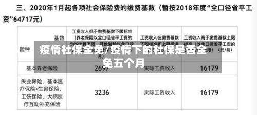 疫情社保全免/疫情下的社保是否全免五个月-第1张图片