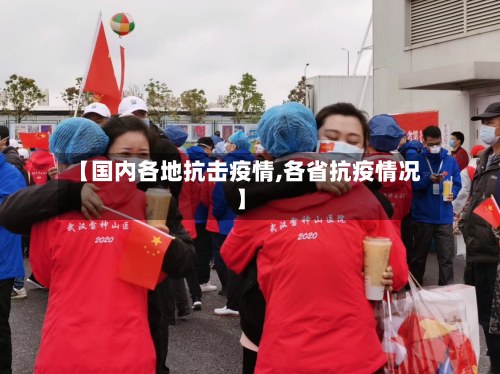 【国内各地抗击疫情,各省抗疫情况】-第1张图片