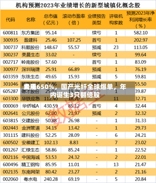 费用大涨650%	，国产光纤全球爆单，年内诞生3只翻倍股-第1张图片