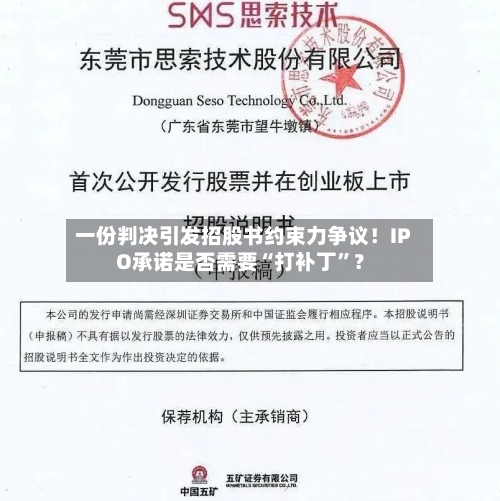 一份判决引发招股书约束力争议！IPO承诺是否需要“打补丁	”？-第3张图片