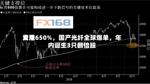 费用大涨650%	，国产光纤全球爆单，年内诞生3只翻倍股-第1张图片
