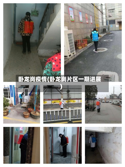 卧龙岗疫情(卧龙岗片区一期进展)-第1张图片