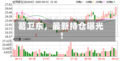 葛卫东，最新持仓曝光！-第1张图片