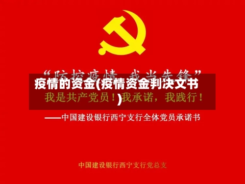 疫情的资金(疫情资金判决文书)-第1张图片