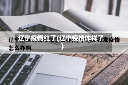 辽宁疫情红了(辽宁疫情咋样了)-第2张图片