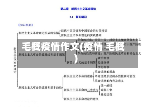 毛概疫情作文(疫情 毛概)-第1张图片