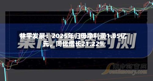 林平发展：2025年归母净利润1.85亿元，同比增长21.22%-第1张图片