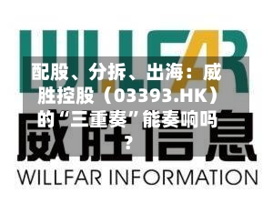 配股、分拆	、出海：威胜控股（03393.HK）的“三重奏”能奏响吗？-第1张图片